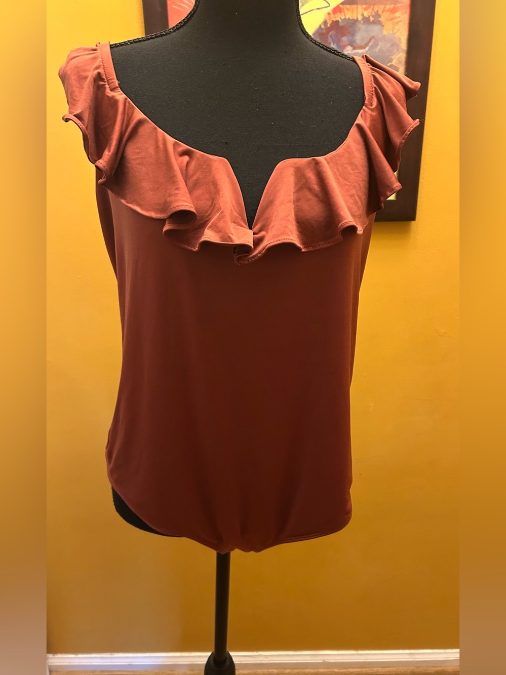 Express Rust Slinky Ruffle Neck Body Suit XL